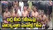 Officials Took Public To Haryana For Buffaloes Purchase Under SC Corporation | V6 Teenmaar