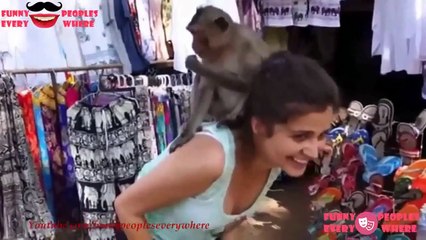 Funny Monkey in Love with Woman Funny Video
