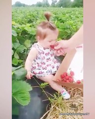 Hilarious Hungry Baby - Funniest Fails Baby Video
