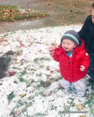 Cute Baby Playing in the Snow First Time - Baby Outdoor Video