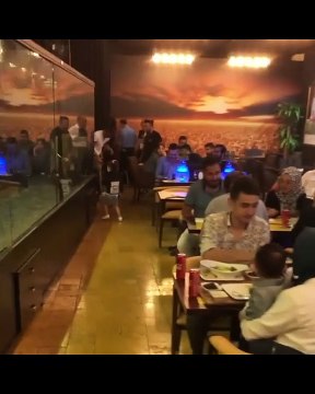 Turquie Un bar à chicha expose un jeune lion pour attirer les clients Turkey A chicha bar exposes a young lion to attract customers