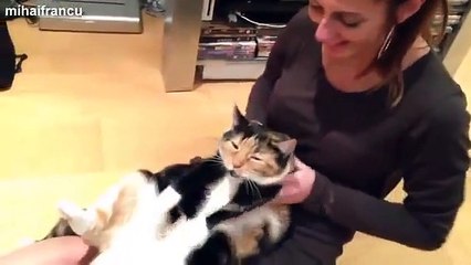 Best Funny Animals videos Compilation Jan 2015 - NEW Part 2