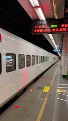 清明连假纪录DR3100 191次、230次太鲁阁和415次新自强摄影 #忠驼论坛 #fyp  #fypシ