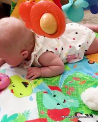 Cutest Chubby Baby - Baby 2019 Videos