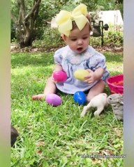 Funny Baby Playing with Animals - Funny Pet Videos