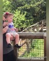 Funny Baby Reaction With Animals At The Zoo - Funny Baby Fails Moments