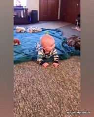Dogs And Babies Are Best Friends (2)