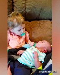 Funniest Situations When Baby Meets Siblings (2)