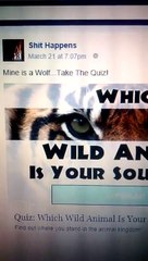 What Wild Animal Soul Mate (Elephant{protective}-Fat&Cute) WP 20150324 028