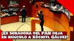 ¡VEAN! ¡Ex senadora del PAN deja en ridículo a Xóchitl Gálvez!