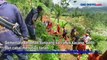 Kagetnya Petani Sayur di Banjarnegara, Lahan Jadi Kuburan Massal Dukun Pengganda Uang