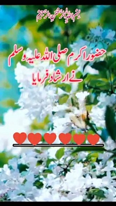 Hades Nabvi saw | HAZRAT Muhammad ne farmaya | #foryou  | hades | #ytshorts