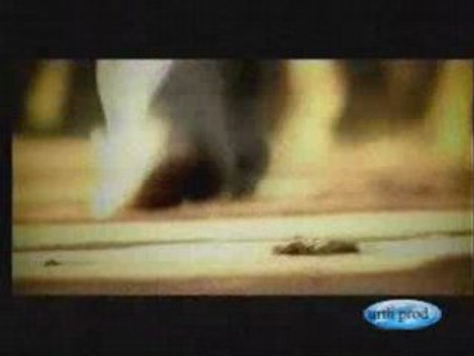 Mirado-trano bongo