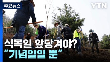 온난화에 식목일 앞당겨야?..."식목일은 기념일" / YTN