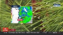 [날씨] 내일까지 비, 남해안 제주 호우특보…강풍 주의