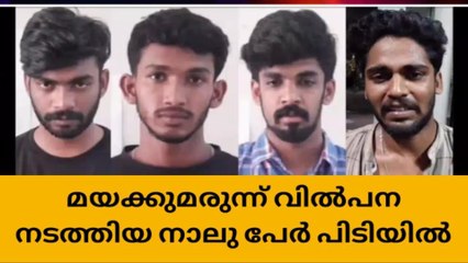 കോഡ് ഭാഷയിലൂടെ മയക്കുമരുന്ന് വിൽപ്പന;4 പേർ പിടിയിൽ