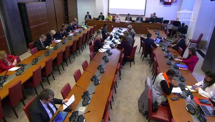 Commission des affaires sociales : Mme Dominique Le Guludec, présidente du collège de la Haute Autorité de santé - Mardi 4 avril 2023