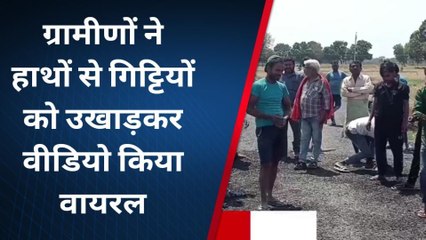 अमेठी: भ्रष्टाचार की इंतहा, 21 लाख की लागत से बनी सड़क 48 घंटे में ही उखड़ी