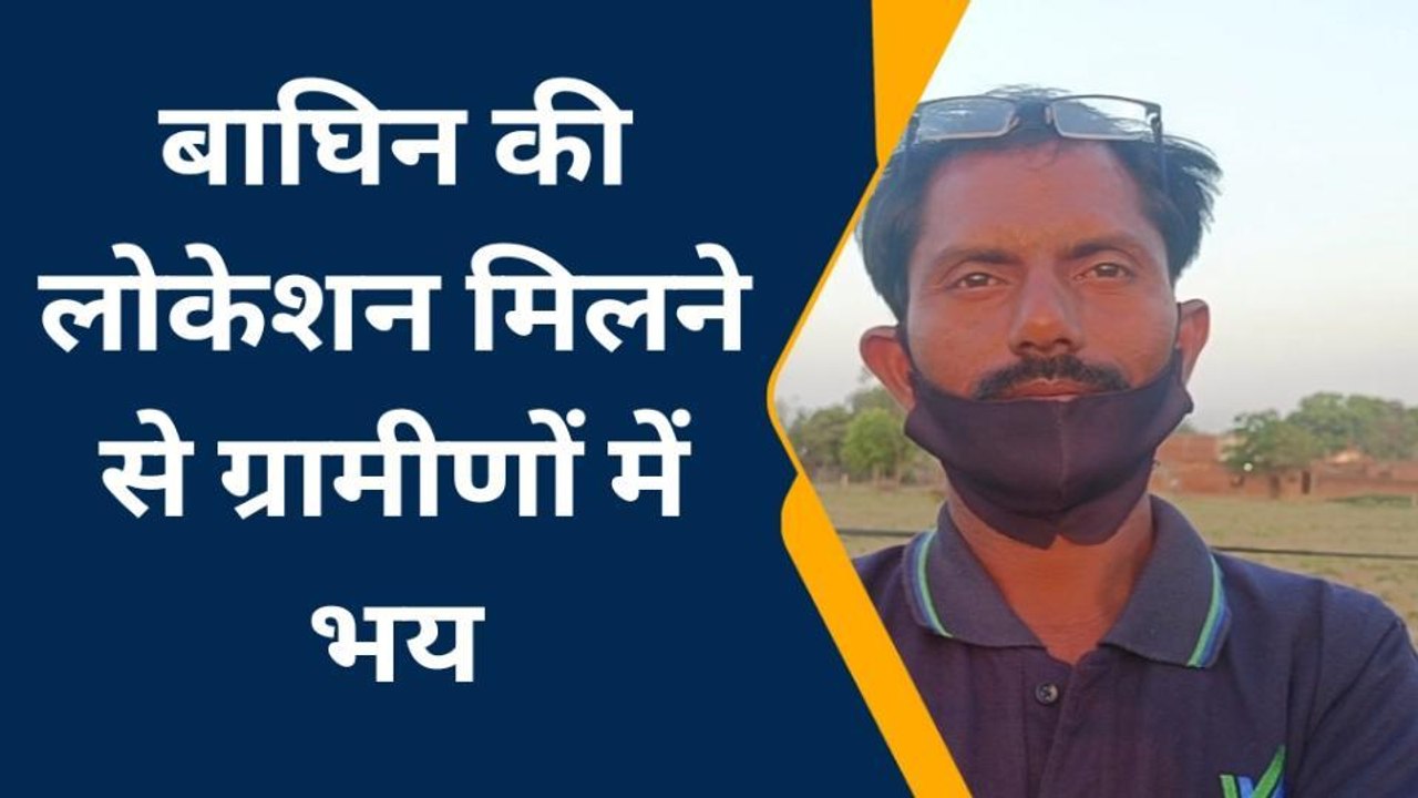लखीमपुर खीरीः अभी तक नहीं पकड़ी गई बाघिन, आसपास के क्षेत्रों में ही मिल रही लोकेशन