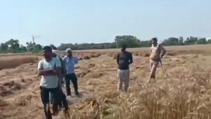 8 दिन से गायब युवती का मिला कंकाल, खोलेगा अनहोनी के सारे राज