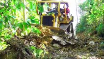 Bulldozing Through Plantations: Building Roads for a Sustainable Future
