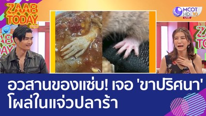 อวสานของแซ่บ! สาวเจอ 'ขาปริศนา' โผล่ในแจ่วปลาร้า (5 เม.ย. 66) แซ่บทูเดย์