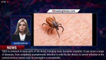 Tick-borne virus detected in several areas in England, UKHSA warns - 1breakingnews.com