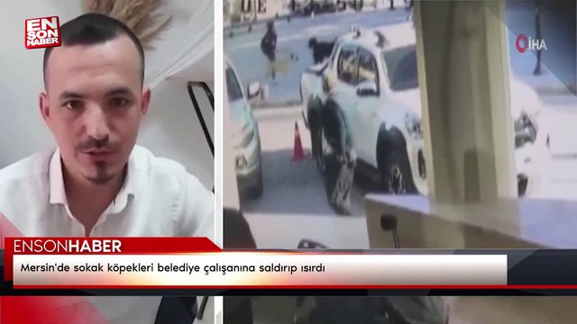 Mersin'de sokak köpekleri belediye çalışanına saldırıp ısırdı