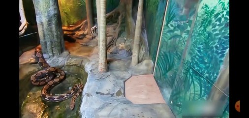 Hahaha #viral #trendy #youtube