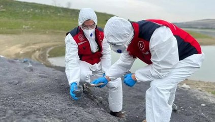 Arnavutköy'de kimyasal atık baraja karıştı... Bakanlık inceleme yaptı