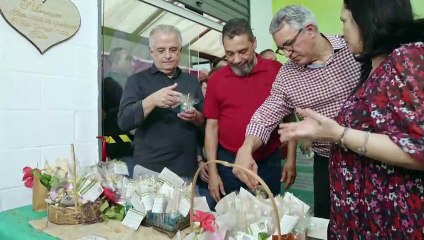 Cannabis medicinal gratuita en Sao Paulo