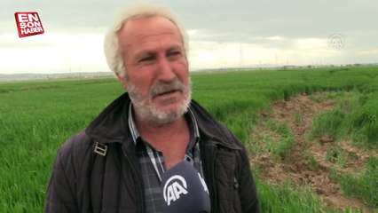 Kahramanmaraş'ta deprem tarım alanlarını ikiye ayırdı