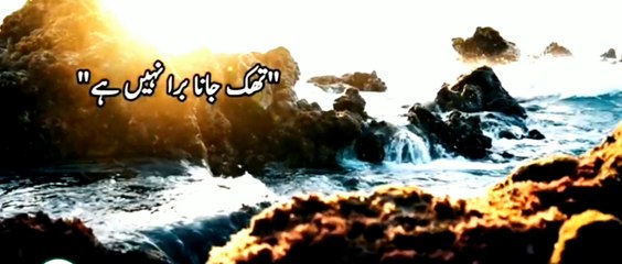 Aqwalezareen, Urdu adab, Golden words, best aqwalezareen, Islamic aqwal