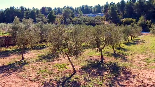 Grup Pons se convierte en la Pyme del Año en Lleida