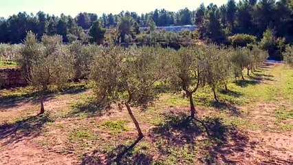 Grup Pons se convierte en la Pyme del Año en Lleida