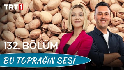Bu Toprağın Sesi 132. Bölüm – Selendi ve Selendi’nin Yeşil Altını ‘Antep Fıstığı’