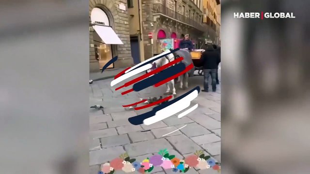 İzlenme rekoru kıran anlar: Hem kendi yedi hem güvercinlere dağıttı