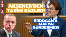 Meral Akşener Erdoğan'ı Çok Kızdıracak! 'Milletin Adamı Diye Geldin Mafyaya Kukla Oldun'