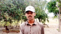 My fast Vlogs Desi Village #village#Desi #Vlogs #myfastvlogs #Followmychanal #DesiMahol