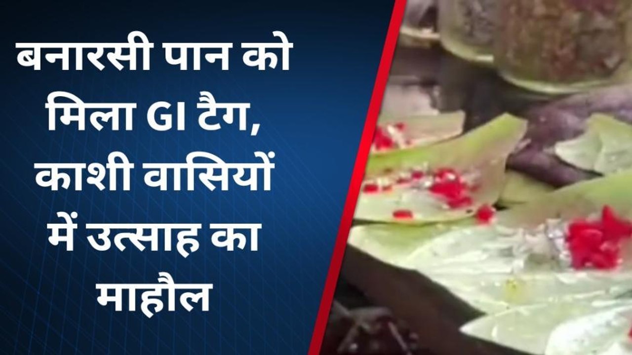 बनारसी पान को मिला जीआई टैग, काशी वासियों में उत्साह का माहौल