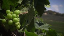 Monreale e Gibellina, due destinazioni per l'arte e per il vino