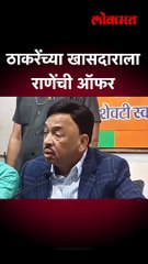ठाकरेंच्या खासदार अमित शाहांना भेटल्या, राणेंनी थेट ऑफरच दिली