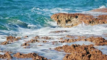 50 second of Amazing Nature Scenery