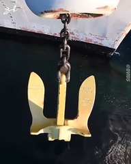 I never knew how dangerous dropping an anchor into the ocean could be