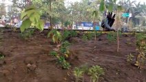 Bhilai सूखते पौधों को पानी देने पहुंचे