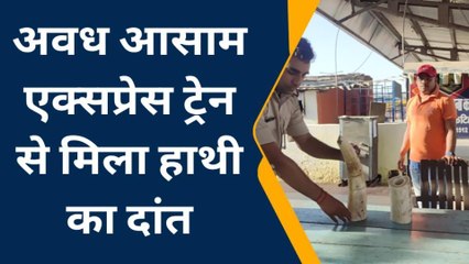 अवध आसाम एक्सप्रेस से हाथी का दांत बरामद, कीमत लगभग 70 लाख रुपए