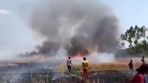 अमेठी: शार्ट सर्किट से गेंहू की फसल में लगी आग, कई एकड़ फसल जल कर हुए खाक