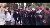 İsrail polisi Mescid-i Aksa'nın avlusunda namaz kılan Filistinlileri böyle engelledi