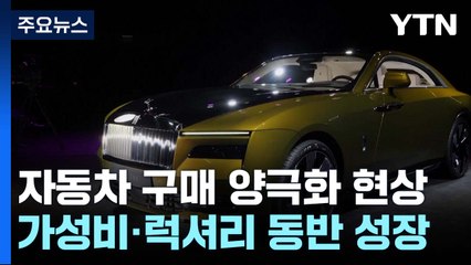 자동차 구매 '양극화' 현상...가성비·럭셔리 동반 성장 / YTN
