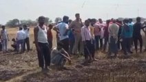 महराजगंज: अज्ञात कारणों से गेंहू की खेत में लगी आग, दो एकड़ फसल जल कर हुए खाक
